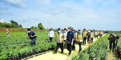 Kementerian PUPR Bangun Prasarana Air Baku Dukung Persemaian Modern Rumpin di Bogor 