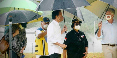 Presiden Jokowi Kunjungi Pusat Persemaian Modern Rumpin di Bogor