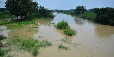 Satu Bulan Banjir Rob di Pekalongan Tak Kunjung Surut, Warga di Pengungsian Susah Cari Nafkah