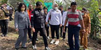 Komite II DPD RI Lakukan Kunjungan Kerja ke Kabupaten Karo Sumatera Utara