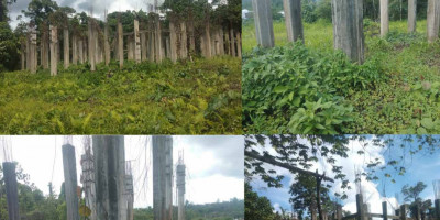 Dana Hibah, LP3BH Manokwari Minta Kapolda Papua Barat Tindaklanjuti Kampus Fiktif Milik Yayasan Tipari