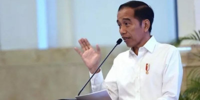 Jokowi: Ini Lompatan Katak, Tidak Ada yang Namanya Perizinan Terlambat Keluar
