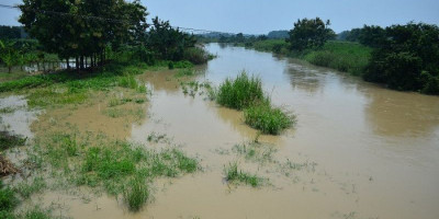 Banjir Akibat Hujan Deras Terjang Jayapura, 7 Warga Meninggal Dunia
