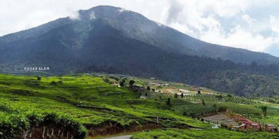 Status Gunung Dempo Naik Jadi Waspada, Pengunjung dan Pendaki Dilarang Mendekat