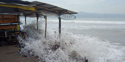 Hewan Besar Muncul dan Berenang Dekati Bibir Pantai Sebelum Gempa Banten