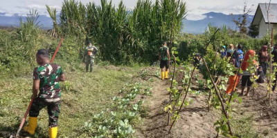 Satgas Kodim Yalimo Yonif RK 751/VJS Sulap Lahan Kosong Menjadi Kebun Sayuran