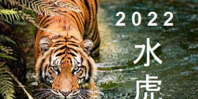 Menyambut Datangnya Tahun Macan/Harimau