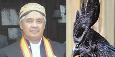 Darah Ayam Cemani Membuat Lelaki Kuat perkasa? Ini Kata KRHT Budi Santoso