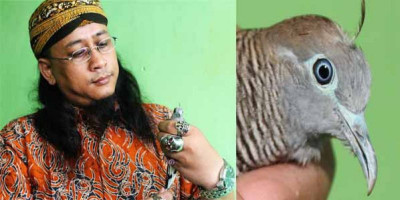 Gus Ripno Waluyo: Mistery Burung Perkutut Gaib Membawa Keberuntungan Pemiliknya
