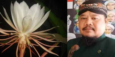 Gus Raden Jaja: Bunga Misterius Kembang Wijayakusuma, Jalan Pintas Pencari Kekayaan