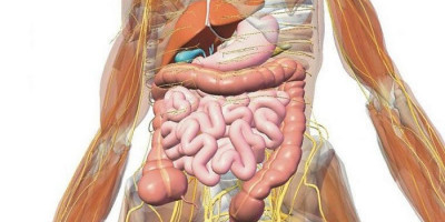 Desainer Indonesia Ini Diduga Terlibat Jual Beli Organ Manusia di Brazil, Begini Tindak Lanjut Polri