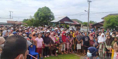 Buntut Kericuhan Migor Di Bengkulu, Sultan Minta Pemerintah Daerah Penghasil Sawit Bangun Pabrik CPO Dan Migor