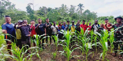 Tanaman Masyarakat Tumbuh Subur, Bukti Keberhasilan Pelatihan Pertanian Satgas Pamtas Yonif 126/KC