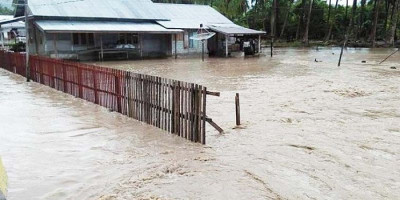 Banjir Bandang Terjang Kabupaten Banggai, Puluhan Rumah Rusak dan Ratusan Hewan Ternak Mati