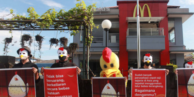 Aktivis se-Asia Desak McDonald’s Pasok Telur dari Kandang Baterai yang Kejam