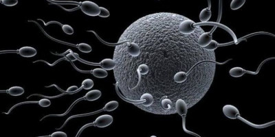 Ini 5 Manfaat Wanita Telan Sperma, Nomor Tiga Asyik Banget