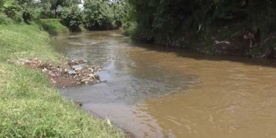Plt Wali Kota Bandung Klaim Sungai Citarum Kini di Level Cemar Ringan, 3 Tahun Lagi Bisa Diminum