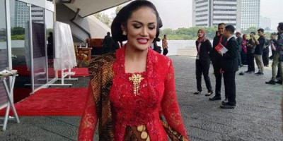 Soal Minyak Goreng, Krisdayanti Sampai Memohon ke Jokowi
