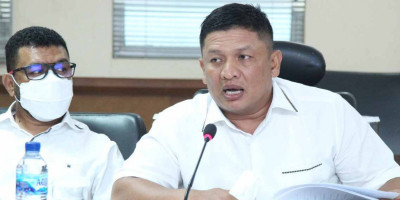 Jadi Pembicara di Webinar FISIP UB, Fernando Sinaga Ungkap Strategi DPD RI Perjuangkan Aspirasi Rakyat