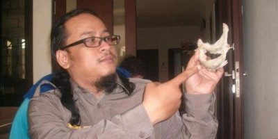 Dua Burung Alam Pembawa Kekayaan, Walet dan Seriti   