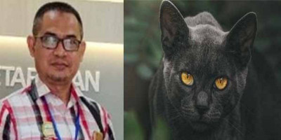 Mitos Kucing Hitam, Kesialan atau Nasib Baik?