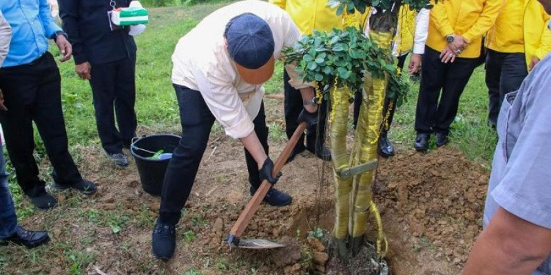 Tanam Pohon Beringin di Titik Nol IKN, Airlangga Harap Jadi Dukungan Total Partai Golkar