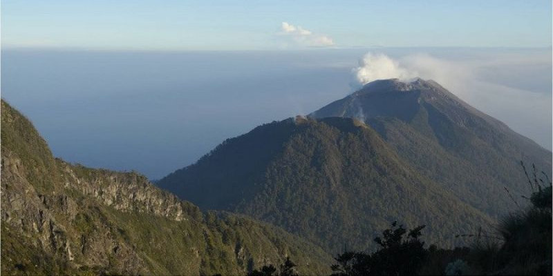 Pelari Lintas Alam Hilang di Gunung Arjuno, Diduga Kirim Sinyal SOS di Jalur Pendakian