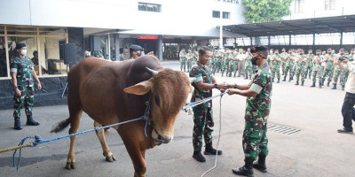 Kogartap I/Jakarta Potong Hewan Kurban