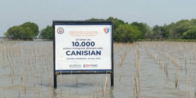 Gotong Royong Menanam Mangrove untuk Atasi Abrasi yang Menyerang Muara Gembong 
