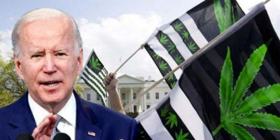 Amnesti Bagi Tujuh Ribu Orang, Presiden Biden Mengakui Gagal “Perang Terhadap Narkoba”
