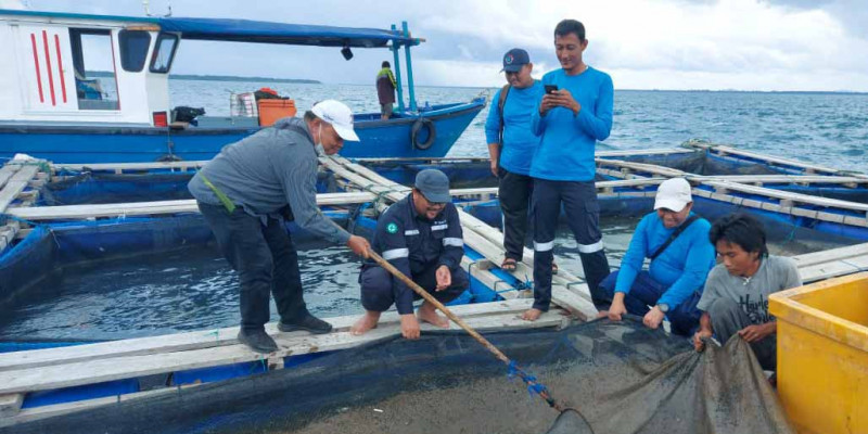 Dengan Konsep KJA, Budidaya Ikan dan Udang Vaname di Pulau Sukun Belitung Timur