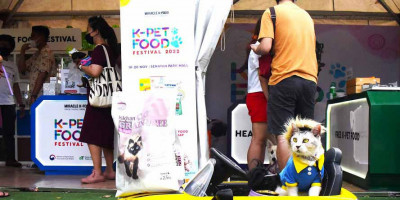 K-Pet Food Festival 2022 Jadi Pengalaman Menyenangkan Anjing dan Kucing