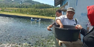 Inovasi Budidaya Ikan Mujair dan Ikan Nila Melalui Sistim Bioflog 