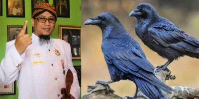 Haram Pelihara Burung Gagak?