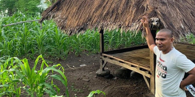 Sekolah Makanan Sehat sebagai Strategi Kebudayaan