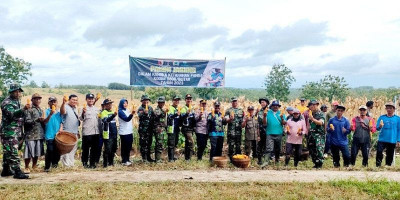 Dukung Ketahanan Pangan, Kodim 0808/Blitar Gelar Panen Jagung di Wilayah Kecamatan Panggungrejo