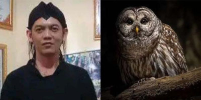 Misteri Suara Burung Hantu