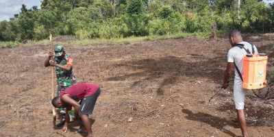 Babinsa Koramil 1708-02/Biak Utara Bantu Warga Bercocok Tanam Kacang Panjang