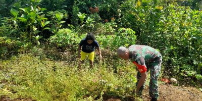 Babinsa Biak Barat Laksanakan Karya Bakti Bersama Warga di Kampung Asaryendi