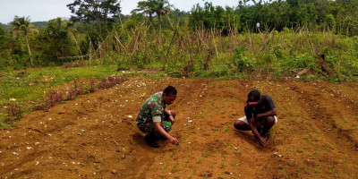 Dukung Kesejahteraan, Babinsa Beri Motivasi kepada Petani Sayur