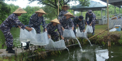 Puluhan Ribu Ikan Disebar di Kolam Sekitar Flat TNI-AL Marunda