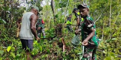 Manfaatkan Lahan Tidur, Koramil 1708-03/Biak Barat Buka Lahan Pertanian