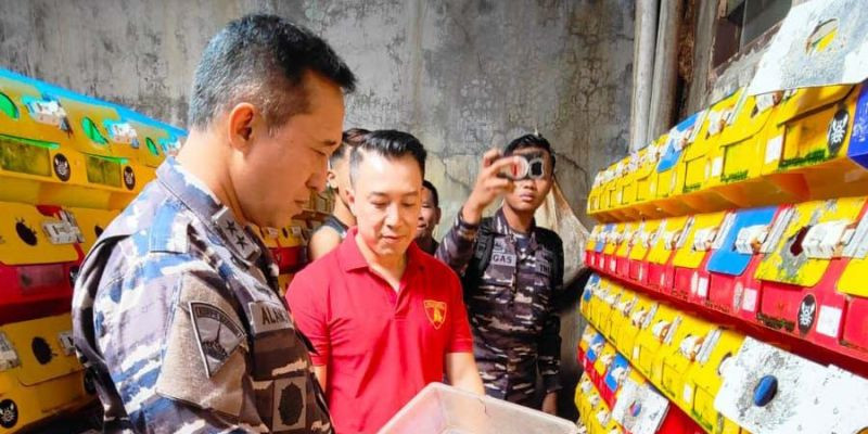 KBN TNI AL Akan Kembangkan Budi Daya Kepiting Mangrove dengan Vertical Crab House