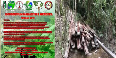 Konsorsium Mahasiswa Merdeka: Ilegal Loging di Desa Larowiu Kab. Konawe Kejahatan Luar Biasa