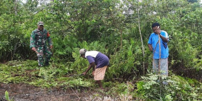 Perkuat Ketahanan Pangan, Babinsa Bantu Koptan Bersihkan Lahan Kebun di Kampung Sunde 
