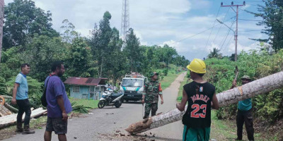 Gerak Cepat Babinsa dan Petugas PLN, Bersama Warga Bersihkan Dahan Pohon Tumbang