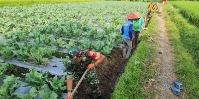 Kekompakan Babinsa Koramil Gandusari dengan Warga Masyarakat Gelar Gotong Royong 