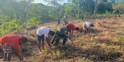 Manfaatkan Lahan Kosong, Satgas Yonif 143/TWEJ Ajak Pemuda Buat Lumbung Pangan di Papua