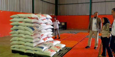 Masa Panen Raya Tiba, Pemerintah Harus Serap Beras Petani Semaksimal Mungkin
