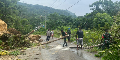 Akibat Longsor di Desa Ramardori, Babinsa dan Warga Bersihkan Pohon Tumbang di Jalan